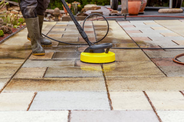 Best Graffiti Removal  in Pine Valley, CA