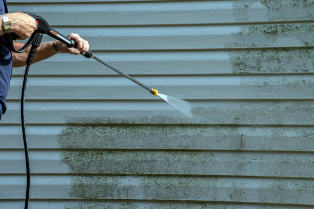 Best Driveway Pressure Washing  in Pine Valley, CA